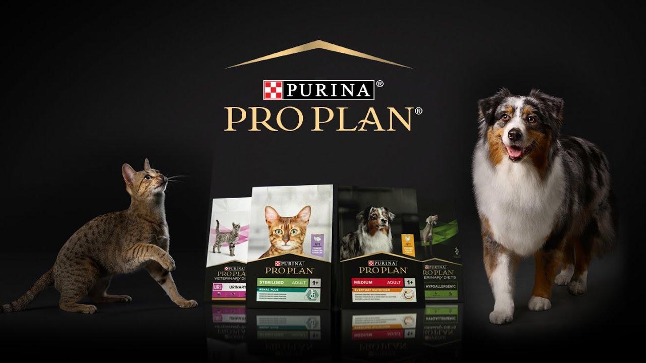Aliments complémentaires  pour chats PRO PLAN®|Purina