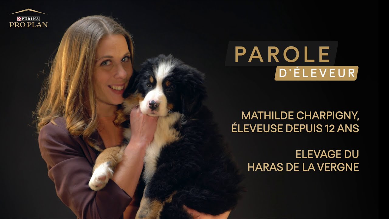 Témoignage Mathilde - 35 ANS PROPLAN
