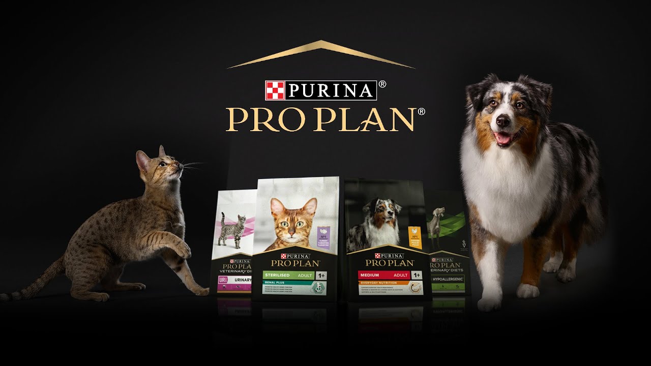 PRO PLAN® - Bien nourrir ceux qui nous rendent meilleurs