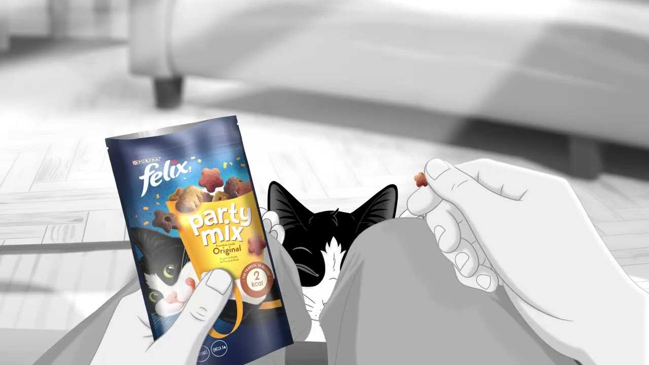 FELIX® C’est si bon d’être un chat – Snacks - YouTube