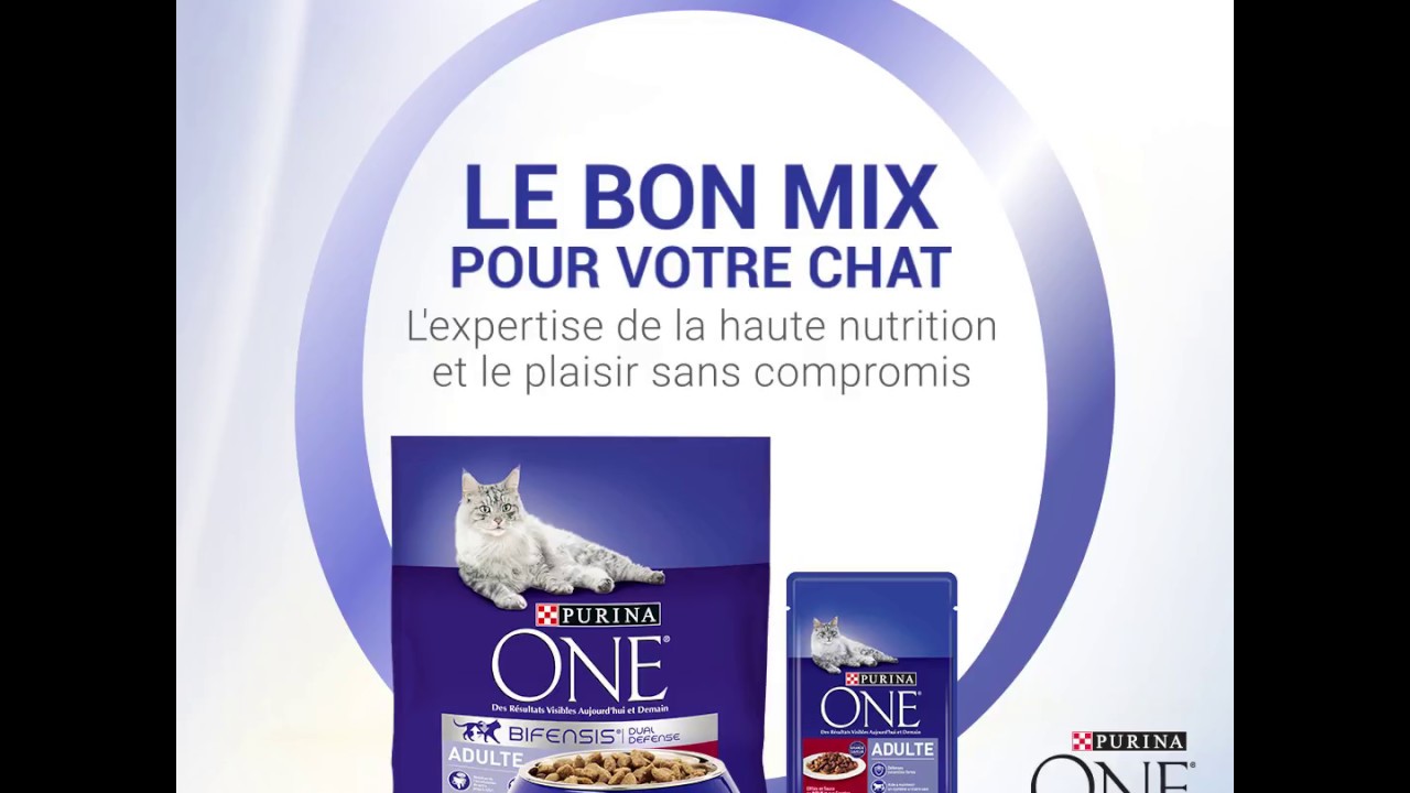PURINA ONE® - Découvrez les bénéfices de l’alimentation mixte et équilibrée pour votre chat